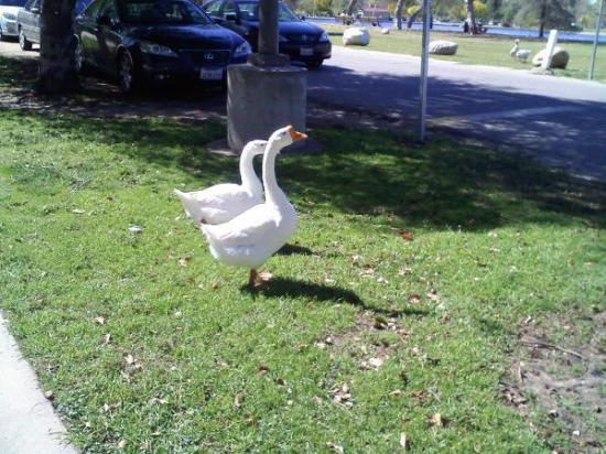 downsized_0313001034