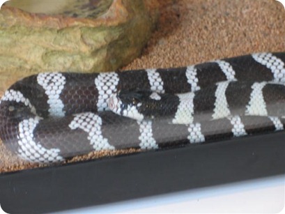 Sedona 09-07 003 (Small)