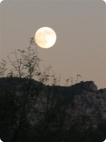 Sedona 09-07 223 (Small)