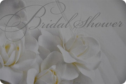 2009-04-18 Kelley Bridal Shower_0652