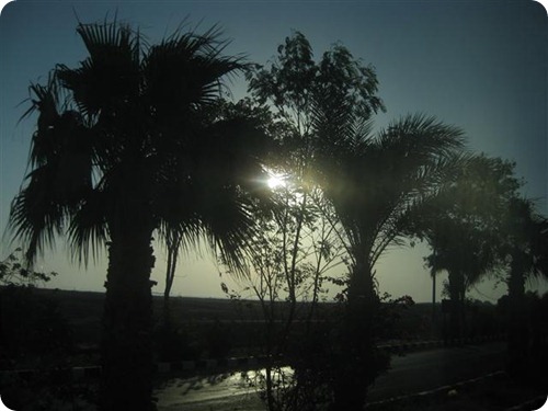 IMG_1528 (2) (Small)