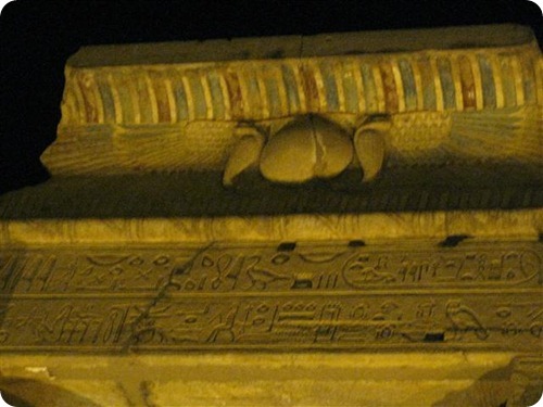 IMG_1607 (2) (Small)