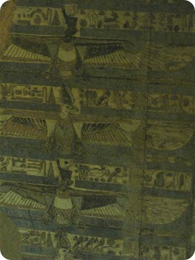 IMG_1619 (2) (Small)