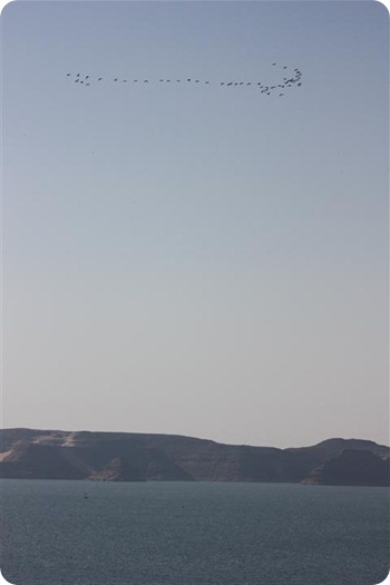 IMG_1697 (3) (Small)