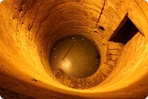 IMG_1910 (2) (Small)