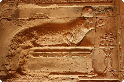 IMG_1919 (2) (Small)