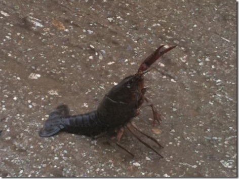 190548_1914784639024_1524204464_3000013_2106603_n