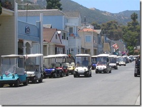 IMG_3962 (Medium) IMG_3962 (Medium)