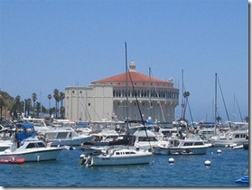 IMG_3963 (Medium) IMG_3963 (Medium)