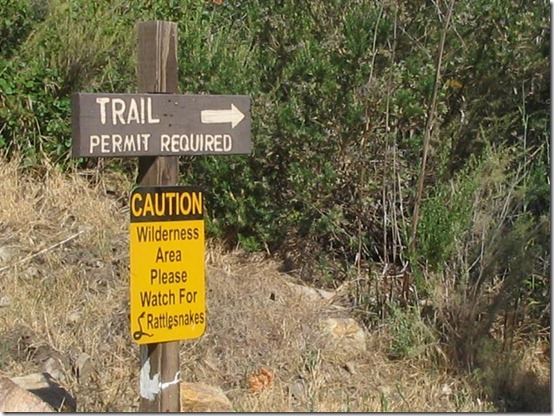 IMG_3977 (Medium) IMG_3977 (Medium)