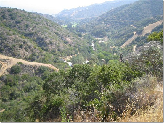 IMG_3979 (Medium) IMG_3979 (Medium)