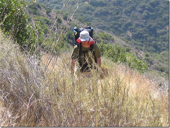 IMG_3983 (Medium) IMG_3983 (Medium)