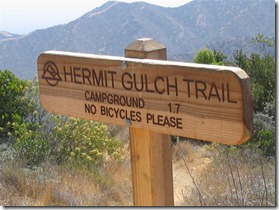 IMG_3985 (Medium) IMG_3985 (Medium)