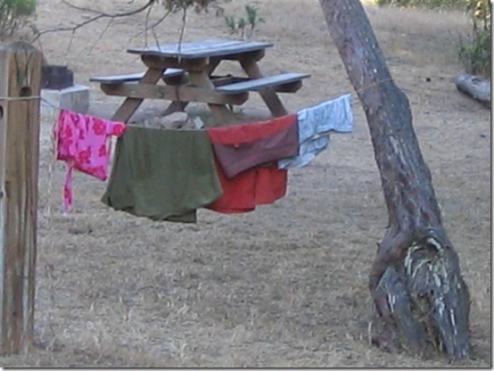 IMG_3997 (Medium) IMG_3997 (Medium)