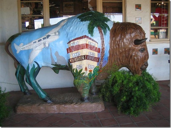 IMG_4008 (Medium) IMG_4008 (Medium)