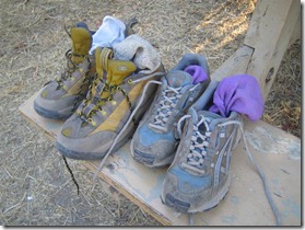 IMG_4012 (Medium) IMG_4012 (Medium)