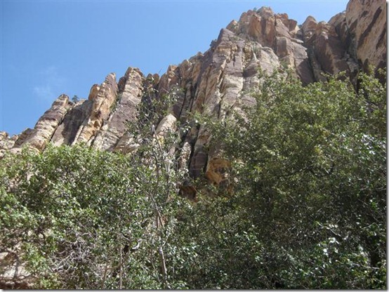 Las Vegas May 2011 (95)