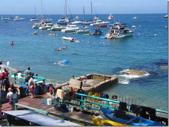 Picture 029 (Medium) Picture 029 (Medium)