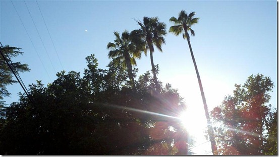 2011-06-01_18-15-40_946