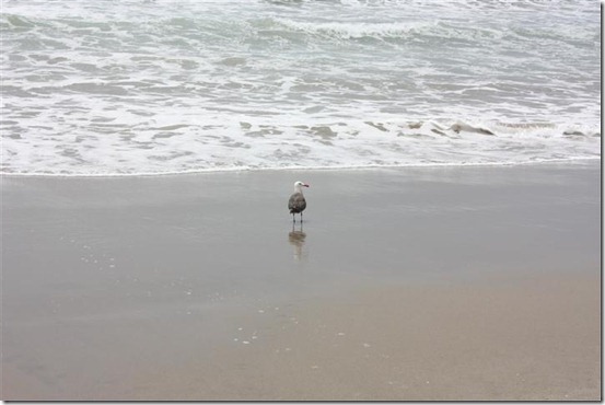 2nd Anniversary Oxnard (13)