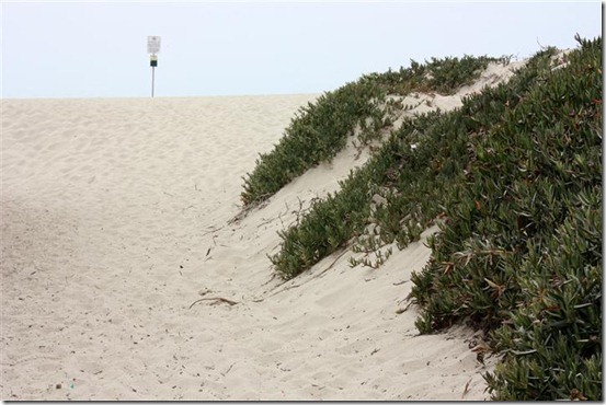 2nd Anniversary Oxnard (18)