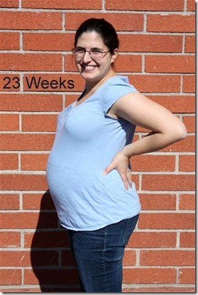 23 Weeks