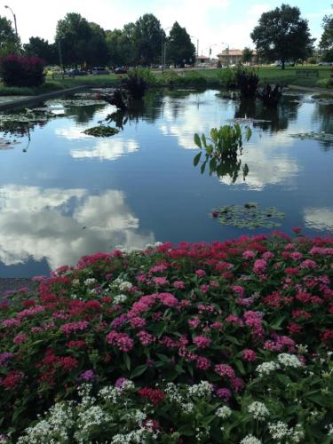 1235146_10200657654463876_1392991474_n