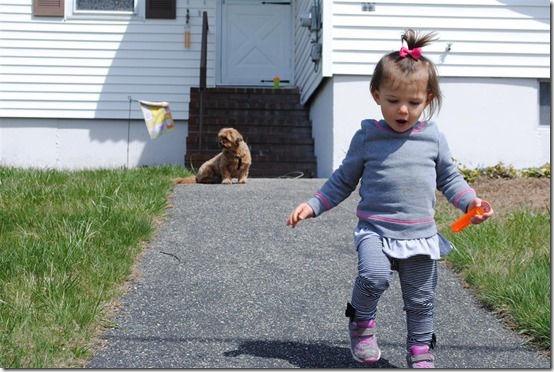 Adeles Cross Country Vacation - Haverhill (2)